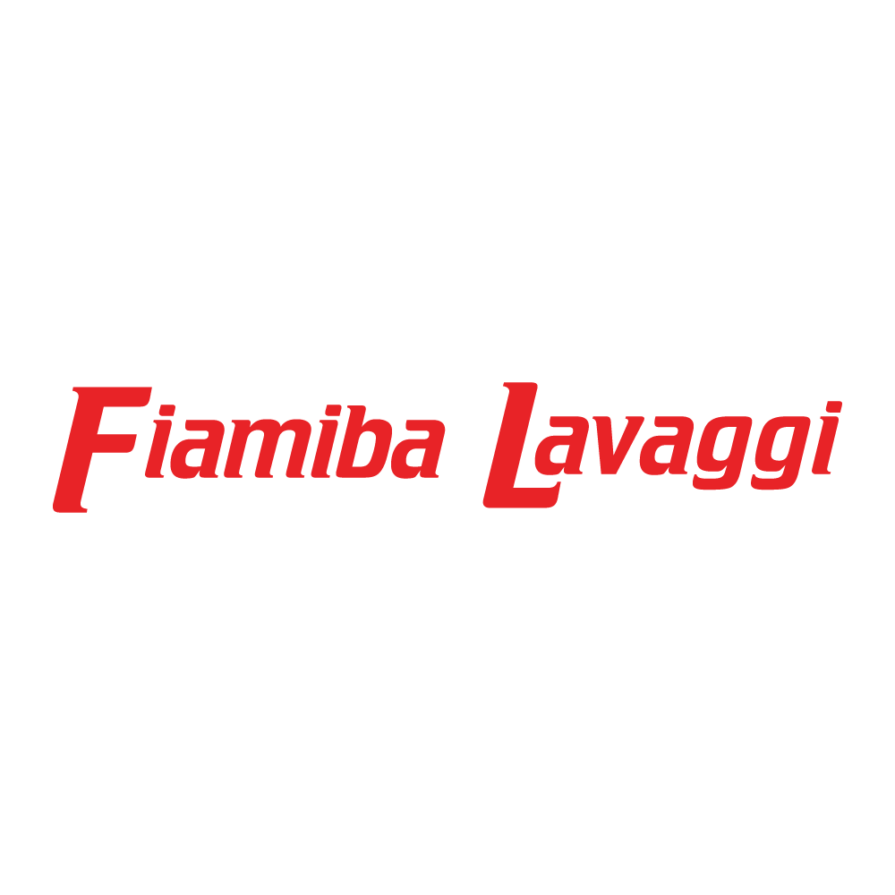 Fiamiba Lavaggi - Try Invest Srl - ESCo Energy Service Company - a Marsala (Trapani)